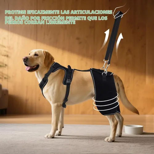 Vista 6 de Soporte de cadera para perro para displasia de cadera, soporte de cadera ajustable para perro con correa de elevación, alivio del dolor cálido