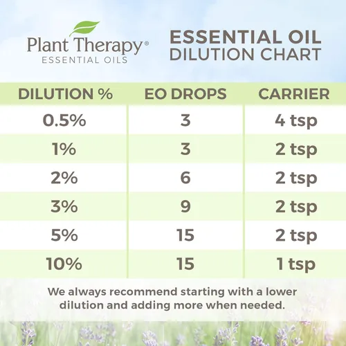 Vista 5 de Plant Therapy Aceite esencial de anís estrellado 100% puro, sin diluir, apoya un sistema digestivo saludable, ayuda a aliviar la tos y la congestión
