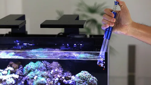 Vista 4 de Innovative Marine Amoladora de artilugios gourmet