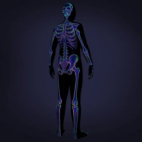 Vista 4 de Uisozsfeb Disfraz de esqueleto para hombre que brilla en la oscuridad Tiene un efecto fluorescente en un ambiente oscuro. E046