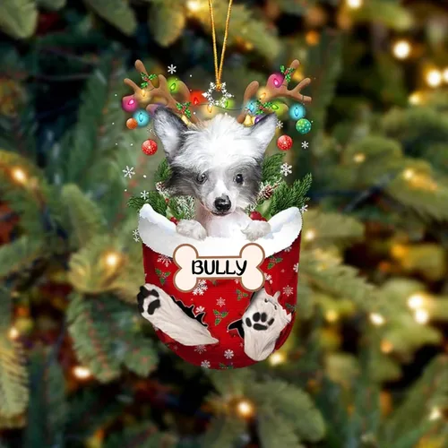 Vista 43 de IZI POD Affenpinscher Adorno de Navidad personalizado para perro, adorno de bolsillo de nieve para perro para árbol de Navidad, adorno acrílico