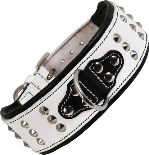 Vista 12 de Collar de perro con tachuelas de cuero genuino Remache de brasero Collar de perro de 2 pulgadas de ancho Grado de sillín, resistente