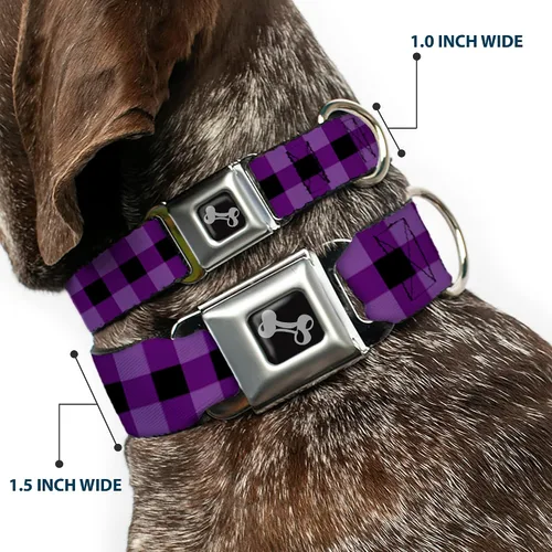 Vista 2 de Buckle-Down Collar de perro con hebilla de cinturón de seguridad, diseño a cuadros de búfalo, color negro/morado, 1 pulgada de ancho, se adapta a