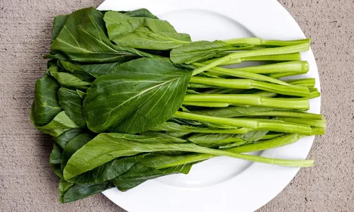 Vista 4 de Yu Choy Sum Seeds, vegetal verde asiático sin OMG, más de 4000 semillas, crecimiento rápido por Mai's Family