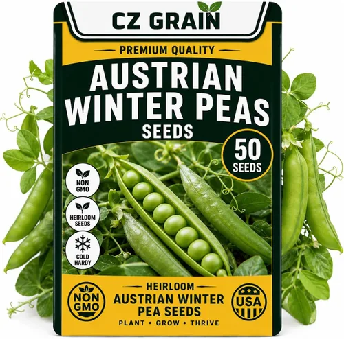 Vista 77 de CZ Grain Semillas para plantar, 40 pequeñas mezclas de calabaza
