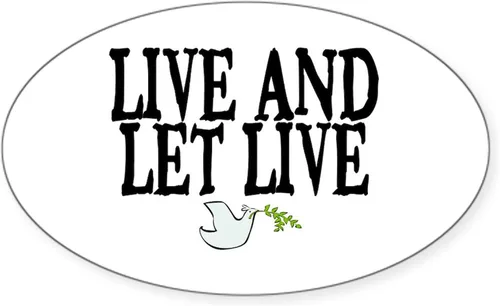 Vista 18 de CafePress Pegatina rectangular de espíritu santo para parachoques de coche ovalada Blanco - Pegatina Rectángulo Espíritu Santo
