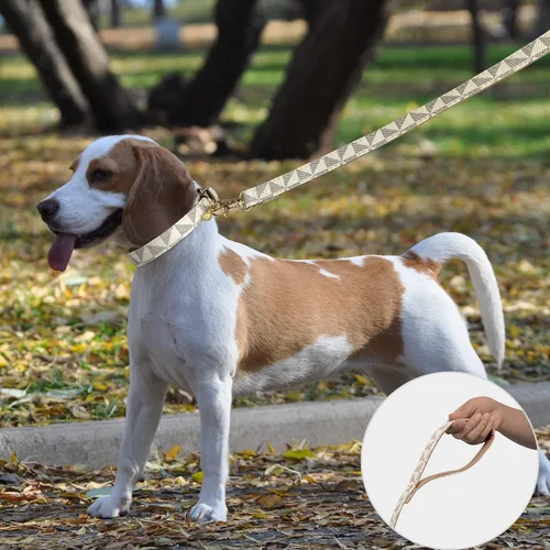 Vista 2 de Collar de cuero para perro y correa de 4 pies, collar básico ajustable con patrón de campana a cuadros, collar y correa de cuero duradero