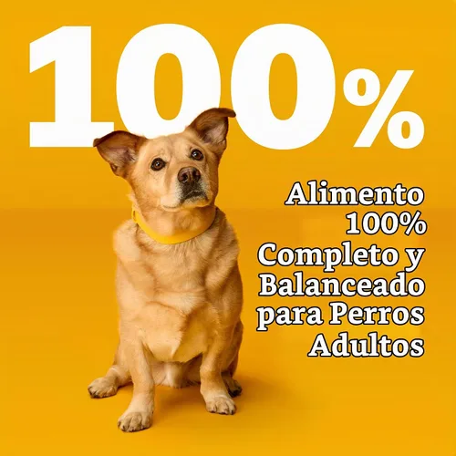 Vista 4 de Pedigree Choice Cuts - Bolsa de comida húmeda para perros, favoritos de carne de res, 3.5 onzas, 30