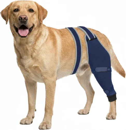 Vista 10 de Funda de pierna trasera para perro para dejar de lamer, protector de pierna trasera para recuperación de TPLO, cirugía de ACL, heridas o problemas