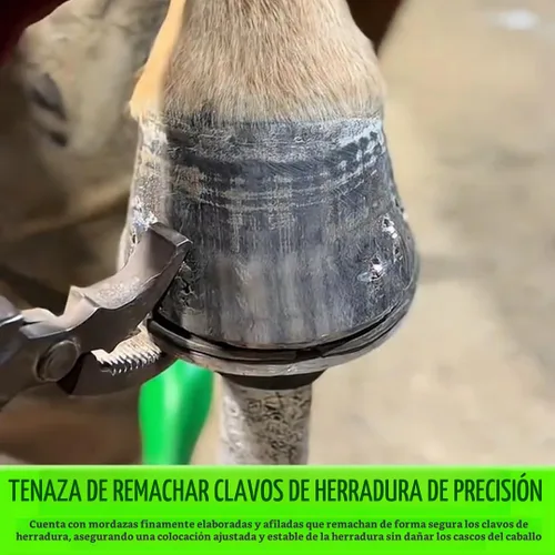 Vista 3 de Equinez Tools Pinza de mandíbula curvada de pezuñas: herramienta profesional para eliminación de uñas de pezuñas, recorte, alicates de acero