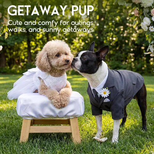 Vista 7 de ASENKU Vestido para Perro Vestido de Boda para Mascota Vestido de Princesa de Encaje para Cachorro Traje de Fiesta de Cumpleaños Ropa Formal