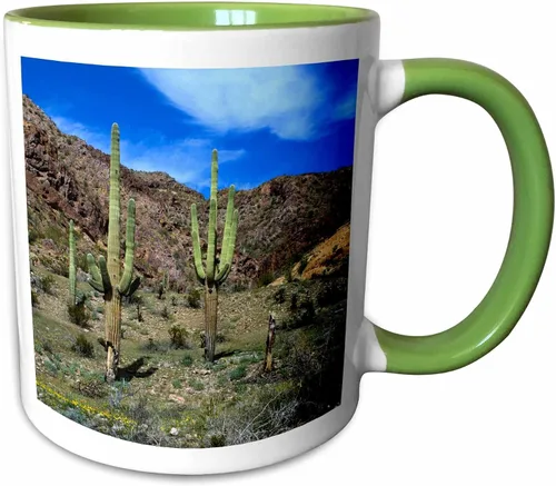 Vista 8 de 3dRose USA, Arizona, Ajo, Saguaro cacti - US03 PHA0020 - Peter Hawkins 11oz Two-Tone Black Mug