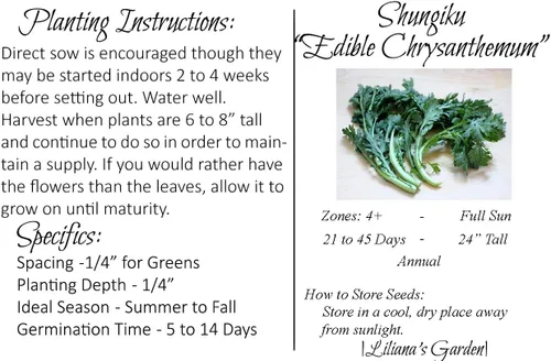 Vista 2 de Shungiku Seeds - Crisantemo Comestible - Verde - Liliana's Garden