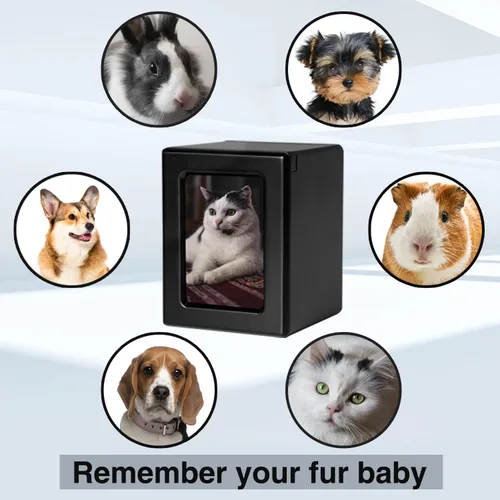 Vista 4 de PCS Urnas de mascotas para gatos, urna de foto de gato, urnas de gato para cenizas, caja de cremación para mascotas, color negro, pequeña