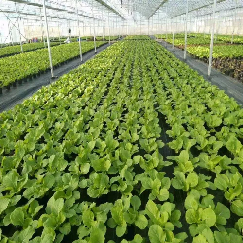 Vista 5 de Tela para jardinería Agfabric para cubrir el suelo y controlar la maleza, de 3.2 oz, Negro