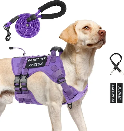 Vista 9 de Arnés táctico sin tirones para perro, tamaño pequeño, chaleco para perro de Negro
