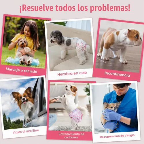 Vista 4 de Pet Soft Pañales desechables para perras, pañales para perras con agujero de cola de espuma ajustable, ultra protección, pañales para cachorros