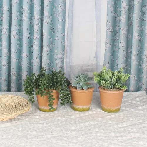 Vista 2 de COTSEN 3 plantas suculentas artificiales en maceta, plantas suculentas falsas en maceta, plantas falsas en maceta, decoración de estantería