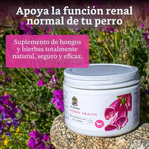 Vista 2 de Dr. Harvey's Suplemento de apoyo renal para perros (4 onzas)