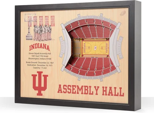 Vista 29 de YouTheFan NCAA Arte de Pared StadiumView de 25 Capas