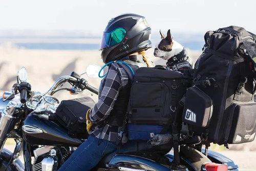 Vista 4 de Kuryakyn 5288 Grand Pet Palace: Transportador portátil resistente al clima para mascotas de motocicleta/gato/perro para portaequipajes o asiento