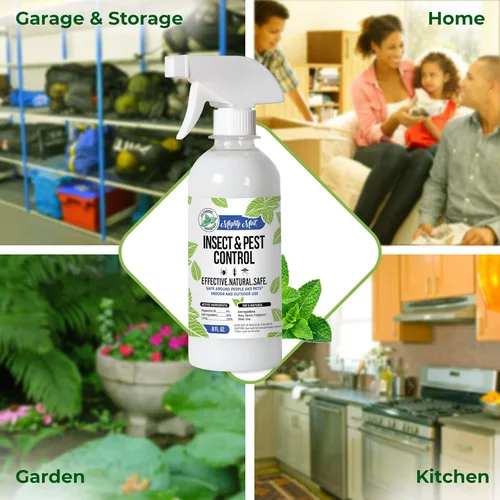 Vista 5 de Aceite de menta para control de insectos y plagas de 8 oz - Spray natural para arañas, hormigas y más (2)