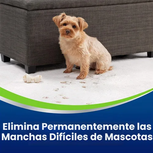 Vista 4 de Bissell Woolite® Advantage - Removedor de manchas y olores para mascotas + desinfectante, 3327