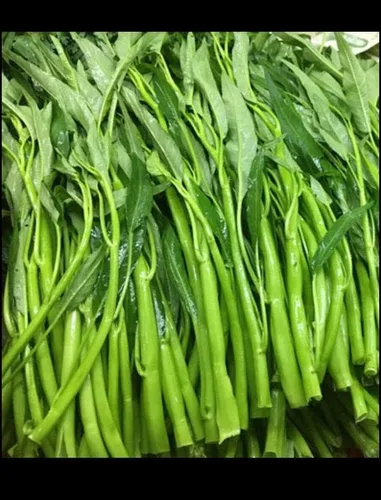 Vista 4 de 2500 semillas de Kang Kong también conocidas como semillas de Rau Muong o Ong Choy Semillas CAI de Kong Xin para plantar Semillas de Kangkong