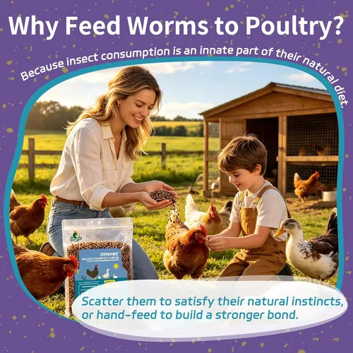 Vista 6 de 2LB Dried Mealworms for Chickens - 52% Protein for Growth