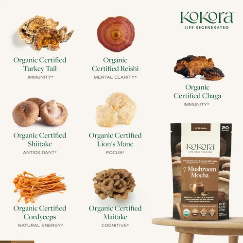 Vista 3 de kokora 7 Mushroom Mocha - Energiza y promueve la claridad mental* - Polvo de hongos adaptogénicos orgánicos con cola de pavo y melena de león