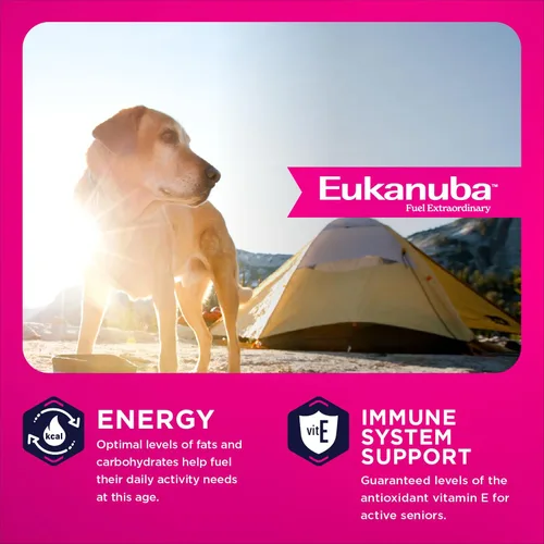 Vista 6 de Eukanuba - Alimento seco para perros de raza grande, bolsa de 33 libras