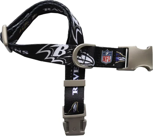 Vista 11 de Littlearth NFL Detroit Lions Pet Premium Collar, Team Color, Small 14-Color del