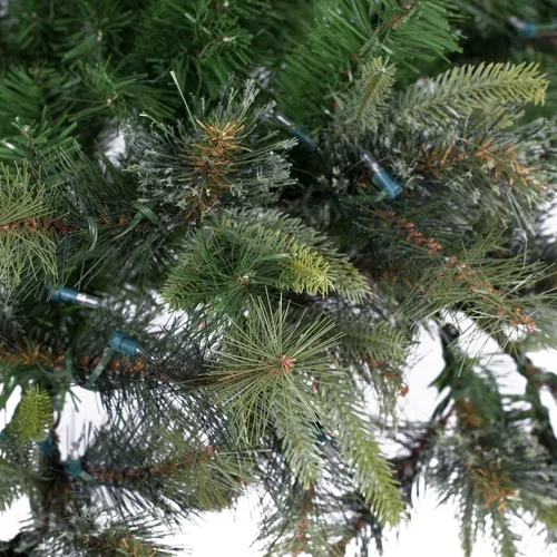 Vista 5 de Vickerman árbol de navidad artificial de pino de cachemira sin iluminación de 24 pulgadas Verde