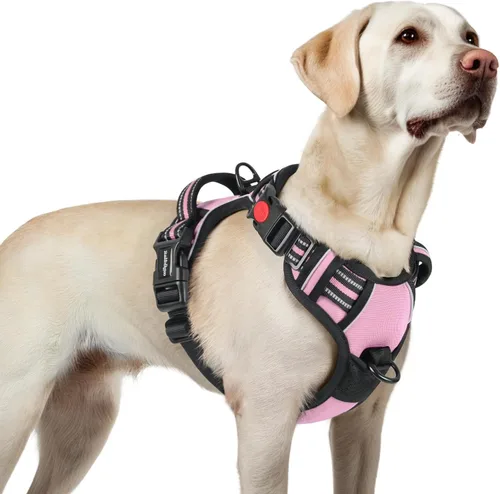 Vista 36 de Rabbitgoo - Arnés para perro de tamaño pequeño, actualizado, fácil de poner y quitar con 3 hebillas Sin tirones, sin estrangulamiento, caminar
