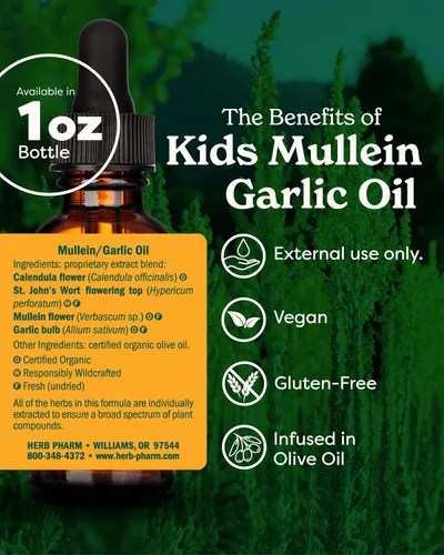 Vista 2 de Herb Pharm Aceite de gordolobo y ajo para niños, caléndula, ajo, gordolobo, hierba de San Juan, aceite de oliva, 1 onza líquida (paquete de 1)