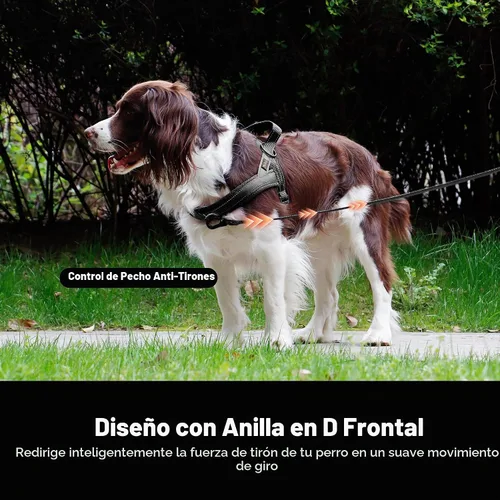 Vista 5 de Didog Arnés sin tirones para perros pequeños, acolchado de malla Negro
