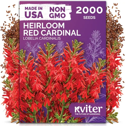 Vista 35 de KVITER 15,000 semillas de rosa musgo mixta para plantar (Portulaca grandiflora) – Cubierta de suelo con floración de reliquia, semilla de Portulaca