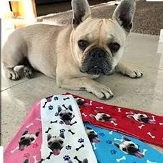 Vista 4 de Calcetines de cara personalizados, para amantes de los perros y mascotas, con foto en calcetines, unisex, atléticos, para hombres y mujeres
