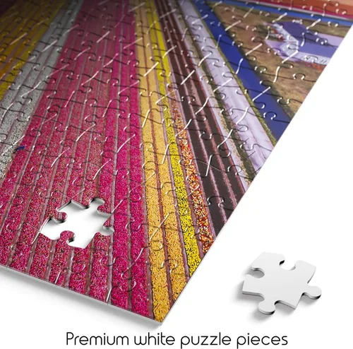 Vista 4 de Buffalo Games - Infinity Fields - Rompecabezas de 1000 piezas para adultos