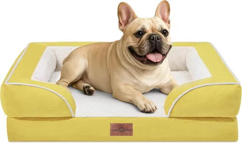 Vista 154 de Comfort Expression - Cama ortopédica para perros medianos, 28 x 19 pulgadas, cama impermeable y de apoyo de espuma con cojines removibles, sofá