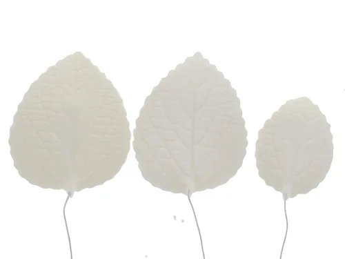 Vista 6 de Global Sugar Art Hojas de hortensias para pastel de azúcar, mezcla blanca de grandes, medianas y pequeñas, 15 unidades por el chef Alan Tetreault