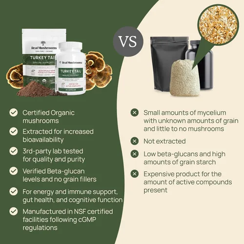 Vista 5 de Real Mushrooms Paquete de vitamina D2, zinc, chaga, reishi (120 unidades) y cola de pavo (90 unidades) – Suplemento natural de fuerza inmunológica