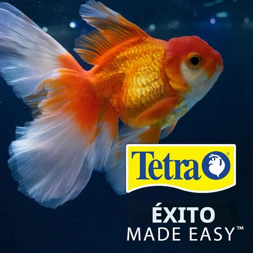 Vista 14 de Tetra Goldfish Flakes, dieta nutricionalmente equilibrada para peces de acuario, copos enriquecidos con vitamina C, 0.42 onzas