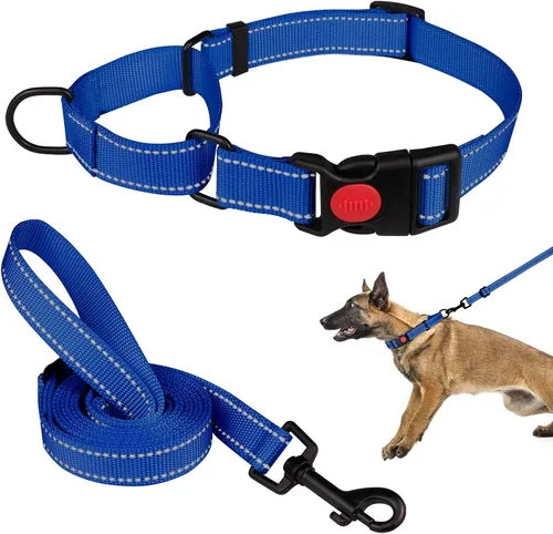 Vista 17 de Set de Collar y Correa Martingale para Perros Collares de Martingale para Perros Collar de Martingale Reflectante para Perros Pequeños, Medianos