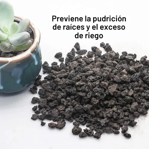 Vista 3 de TOYPOPOR Aditivo de suelo de roca de lava hortícola negra para cactus y plantas suculentas sin tintes ni productos químicos, 100% pura roca