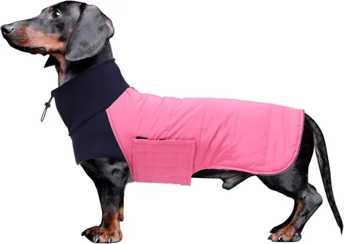 Vista 9 de Abrigo de perro salchicha para perro salchicha Corgi Weiner reversible, abrigo de invierno acolchado con forro de algodón de cuello alto, traje