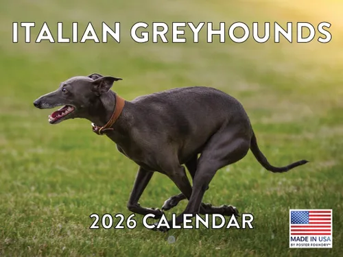 Vista 162 de Calendario mensual de pared Airedale Terrier Dog 2027 rojo (Airedale Terrier)