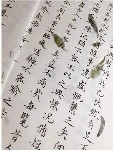 Vista 5 de LSHY Papel Xuan hecho a mano con acuarela maobiana, papel de arroz medio maduro con pétalos amarillos naturales, tamaño de papel A4 para niños