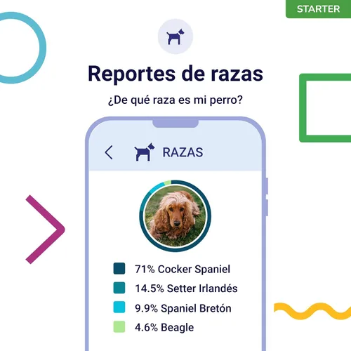 Vista 4 de Prueba de ADN Koko para perros Starter - (Informes de razas y rasgos) - Actualizaciones sin costo