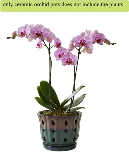 Vista 8 de Maceta de orquídea de cerámica de 6 pulgadas